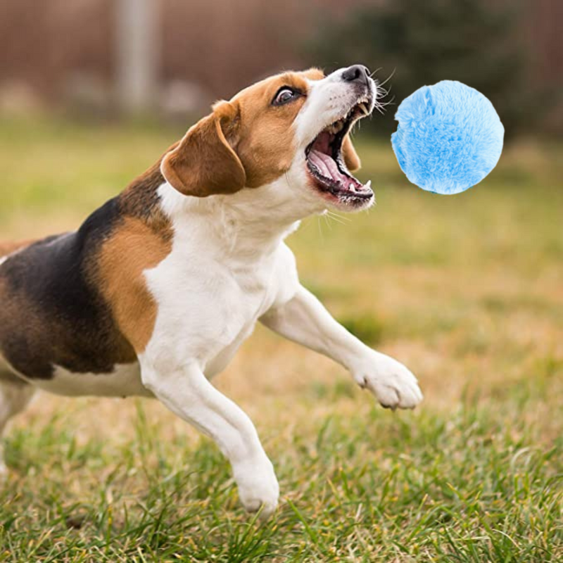 Fluffy Ball 4 em 1 - Compre 1 Bolinha e Leve 4 cases para mudando quando quiser - Net Shop Brasil