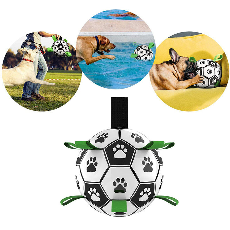 PataGol™ - Bola Canina de Aventura - Net Shop Brasil