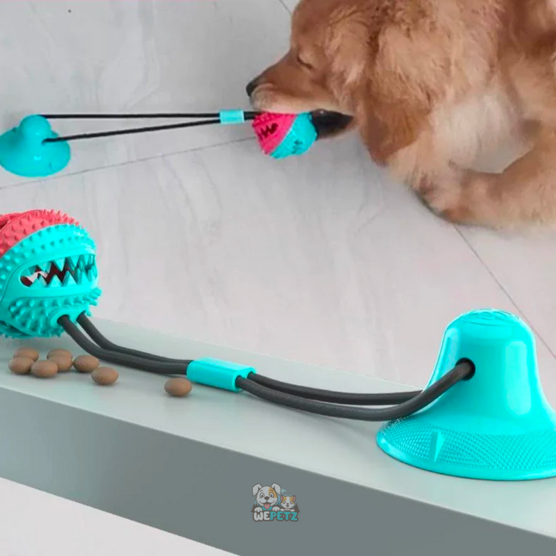 Brinquedo Cabo de Guerra com Porta Petiscos e Mordedor para Cachorro - Net Shop Brasil