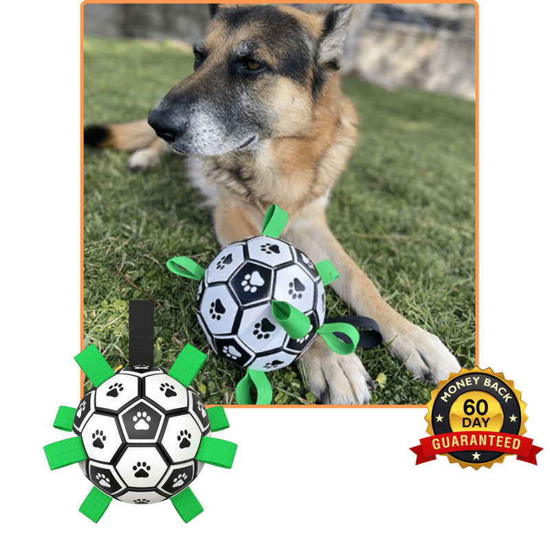 Soccer Ball Petz - A escolha divertida para o seu cãozinho - Net Shop Brasil