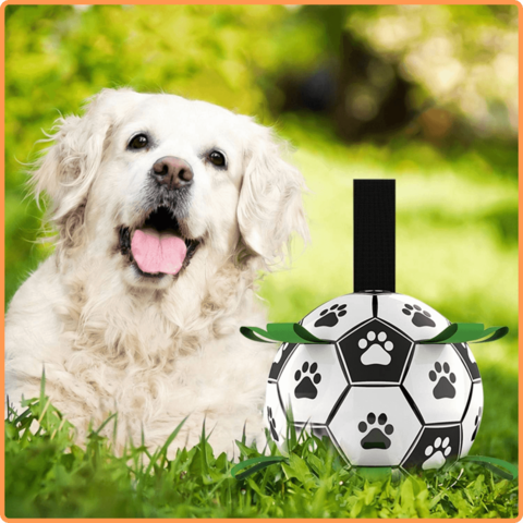 Soccer Ball Petz - A escolha divertida para o seu cãozinho - Net Shop Brasil