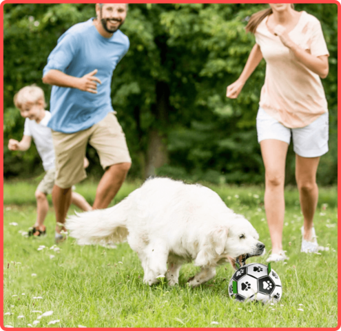 Soccer Ball Petz - A escolha divertida para o seu cãozinho - Net Shop Brasil