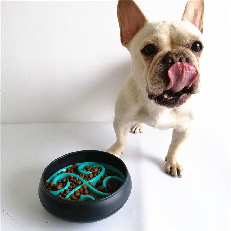 Brinquedo e Comedouro Pet Games Labirinto Verde Água para Cães e Gatos - Net Shop Brasil