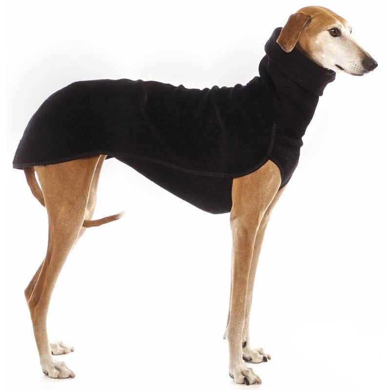 Roupinha Pet Galgo - Net Shop Brasil