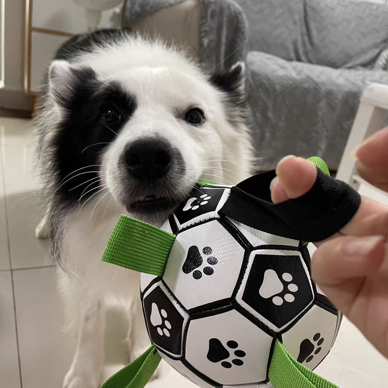 Soccer Ball Petz - A escolha divertida para o seu cãozinho - Net Shop Brasil