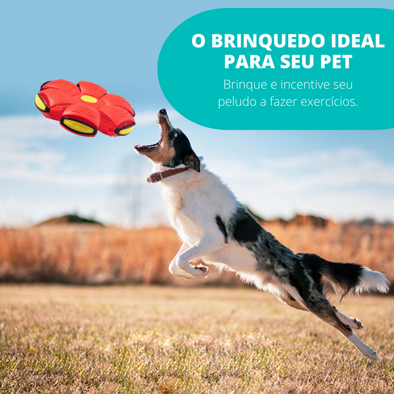 PetBall® Bola Voadora para Cães [COMPRE 1 LEVE 2] - Net Shop Brasil