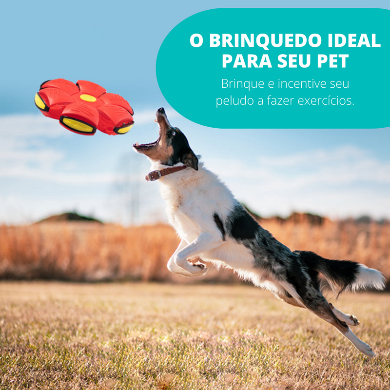 [COMPRE 1 LEVE 2] Pet Ball - Um jogo de aventuras para seu bichinho - Net Shop Brasil
