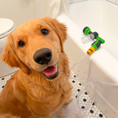 Spray para Banho Petz Jet - A maneira rápida de dar banho em qualquer pet! - Net Shop Brasil